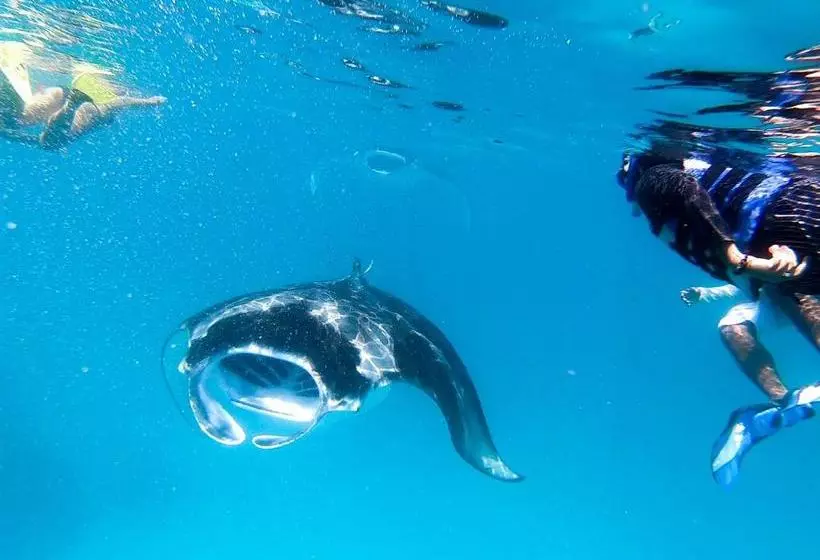 پانسیون Faima Fishing Lodge At Daravandhoo