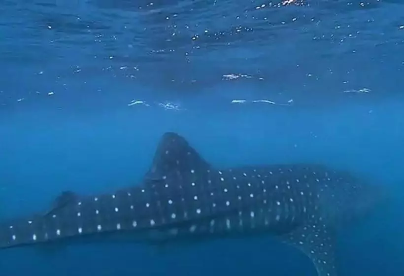 پانسیون Faima Fishing Lodge At Daravandhoo