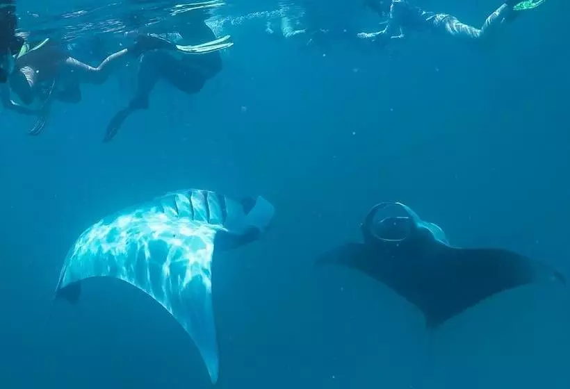 پانسیون Faima Fishing Lodge At Daravandhoo