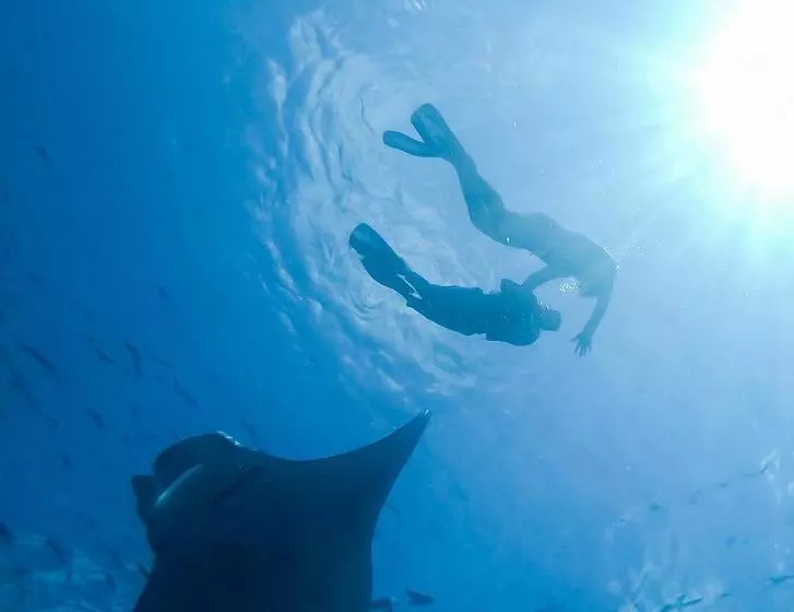 پانسیون Faima Fishing Lodge At Daravandhoo