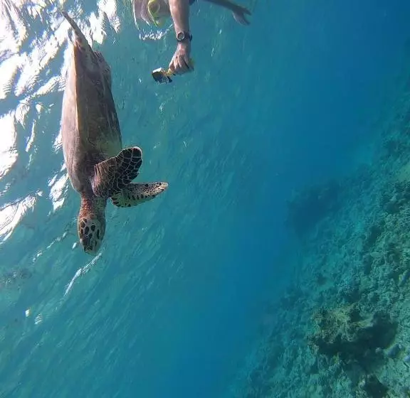 پانسیون Faima Fishing Lodge At Daravandhoo