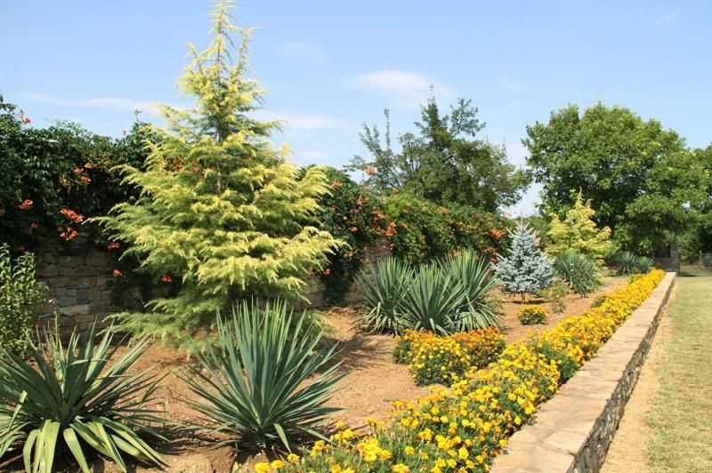 بنسيون Luxury Monevski Guest House