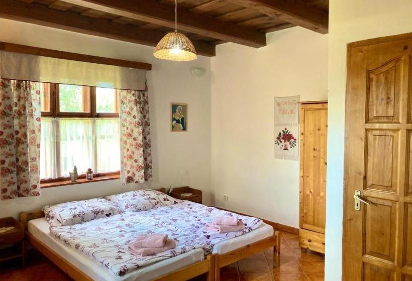 ペンション Ubytovanie U Aranky