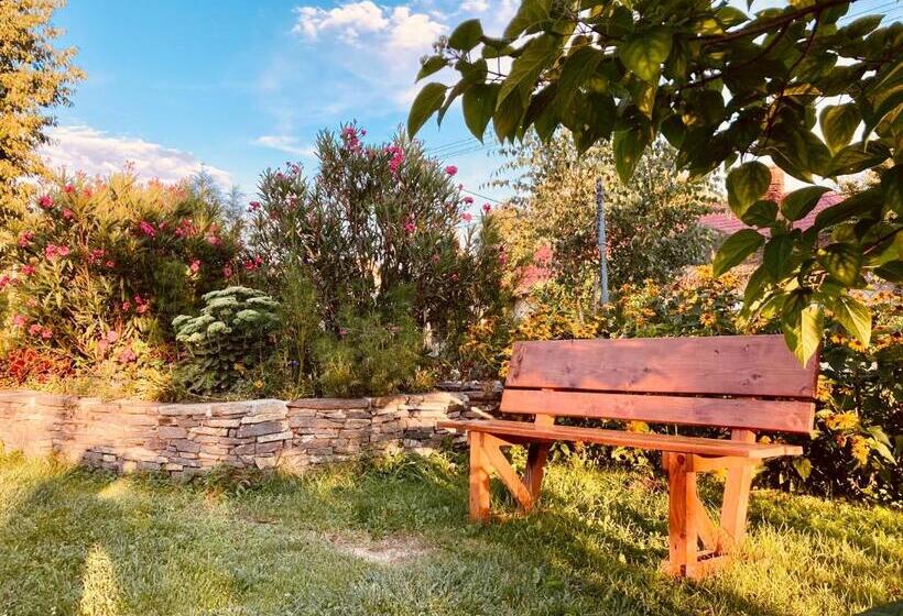 ペンション Ubytovanie U Aranky