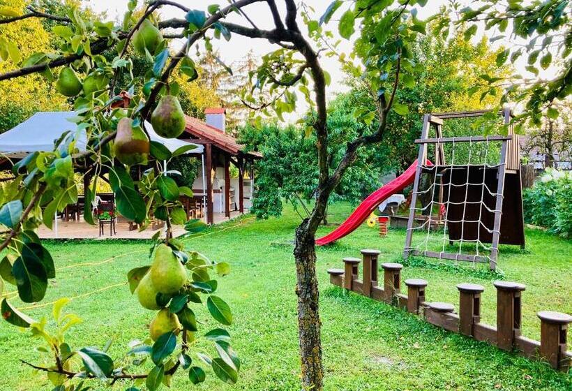 ペンション Ubytovanie U Aranky