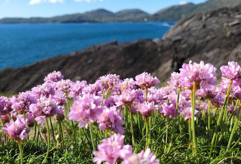 Anam Sona Seaview B&b