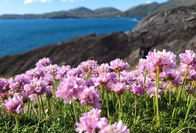 Anam Sona Seaview B&b