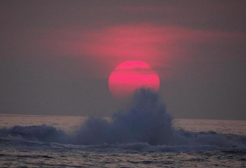 住宿加早餐 Baliyana Lodge
