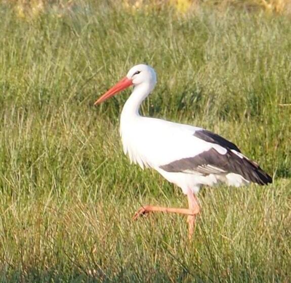 Bed and Breakfast Ferienhof Hage