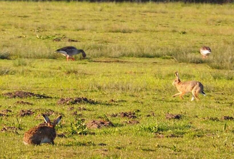 Bed and Breakfast Ferienhof Hage