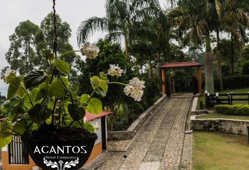 Acantos Hotel Campestre