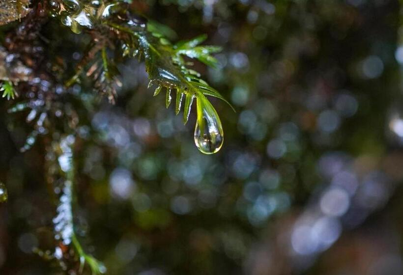 Resort Otel Riverside Lodge