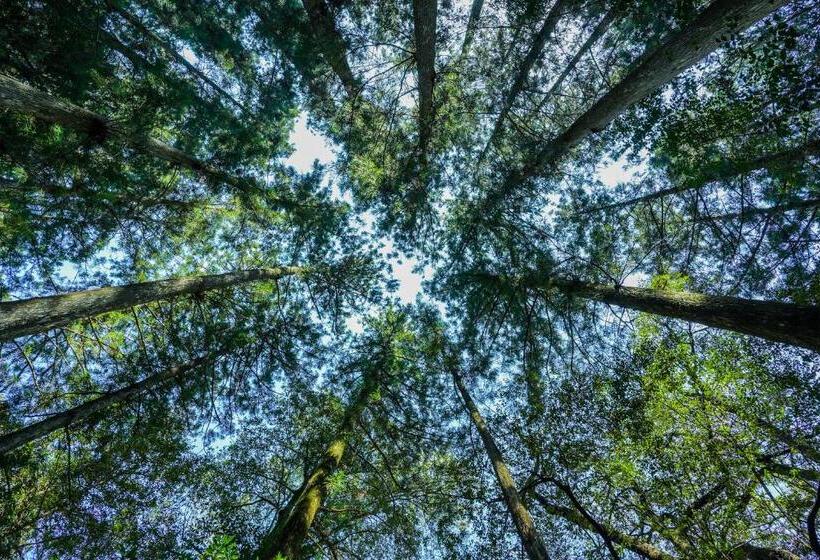 Resort Otel Riverside Lodge