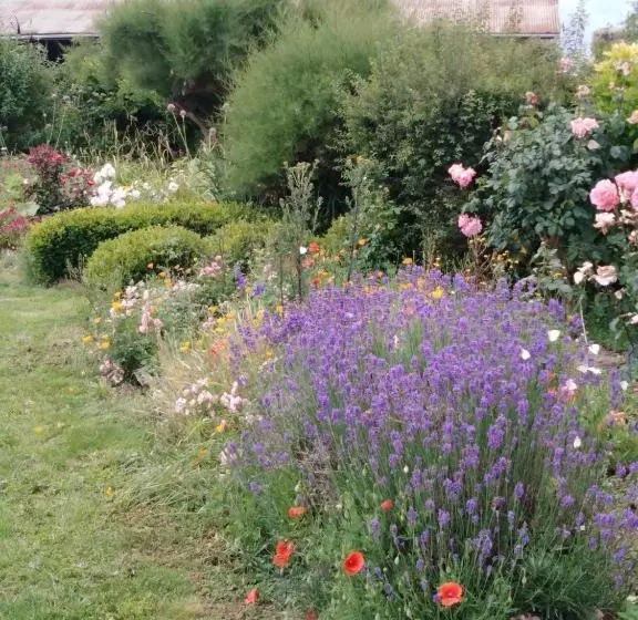 Bed and Breakfast A L époque