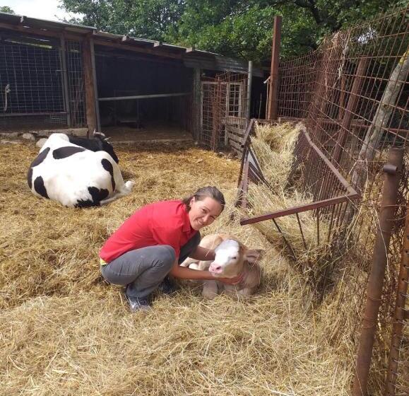 민박 Agriturismo Rosso Lampone