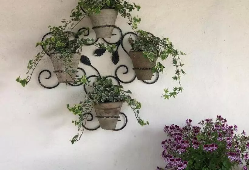 Aamiaismajoitus (B&B) Maison Lamothe