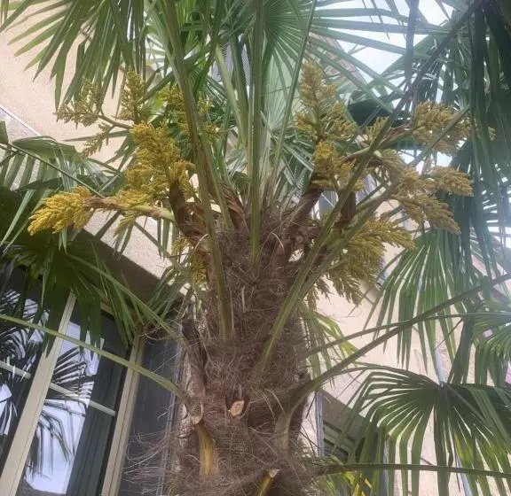 Majatalo Au Fil Du Temps