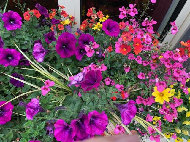 펜션 Au Fil Du Temps