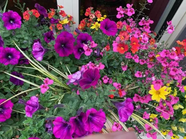 Majatalo Au Fil Du Temps