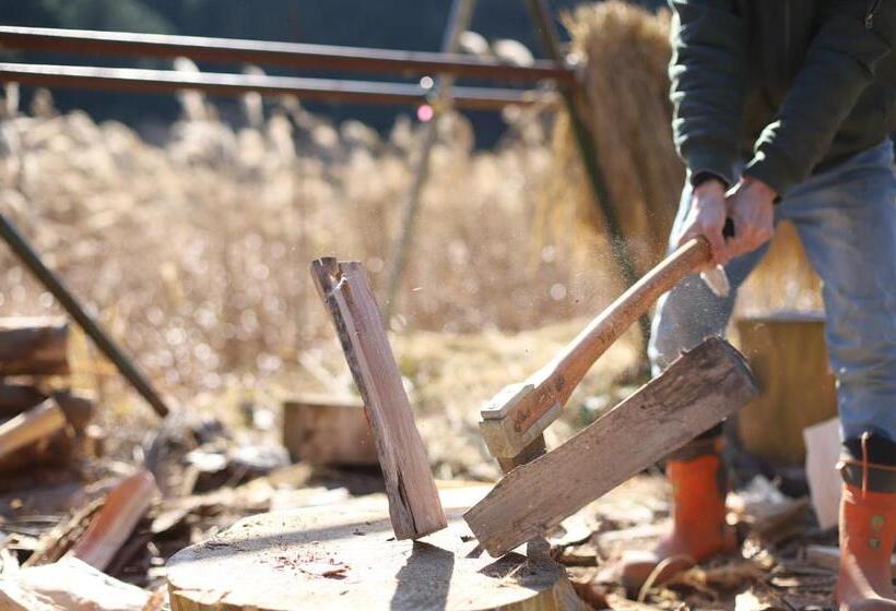 بنسيون Kamenarien