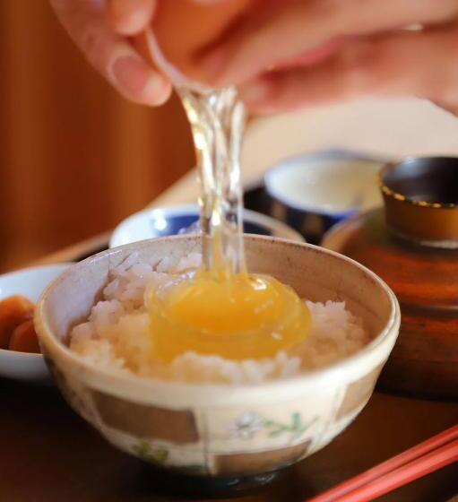 بنسيون Kamenarien