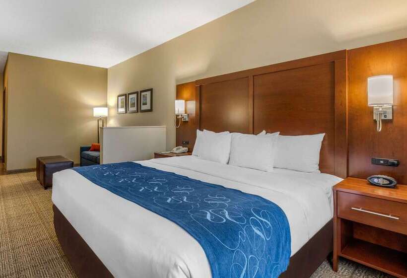酒店 Comfort Suites