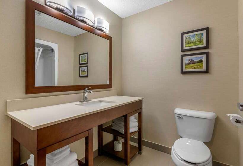 酒店 Comfort Suites