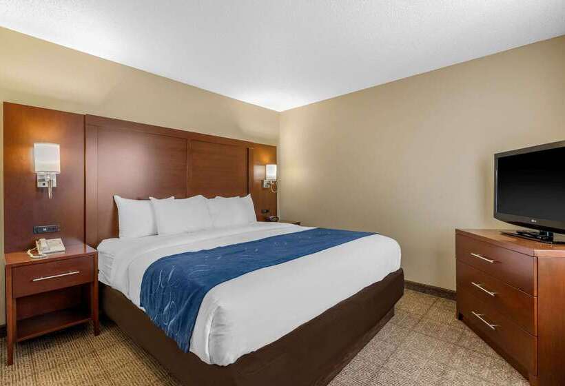 酒店 Comfort Suites