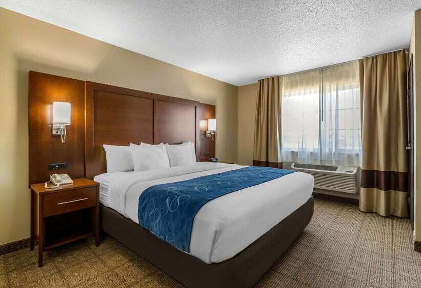 酒店 Comfort Suites