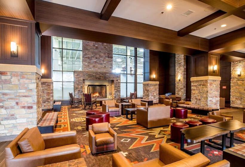 فندق Great Wolf Lodge Bloomington