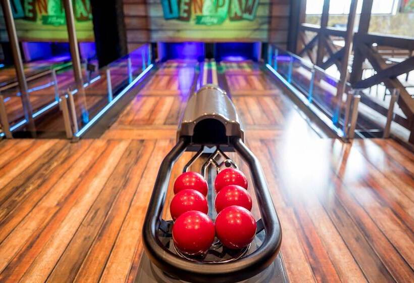 فندق Great Wolf Lodge Bloomington