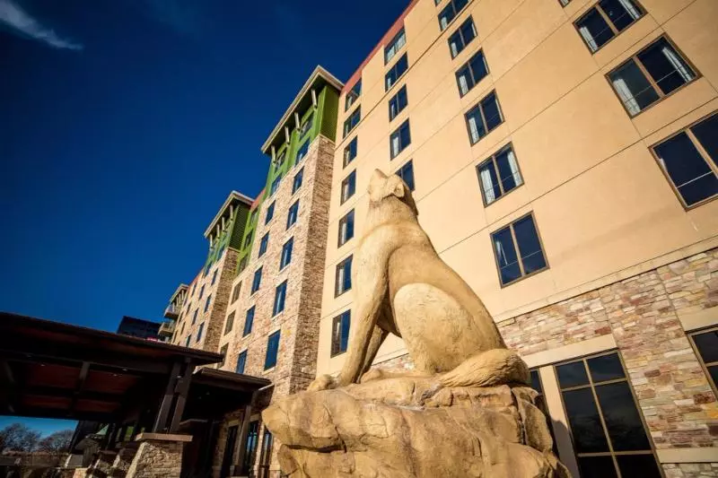 هتل Great Wolf Lodge  Bloomington