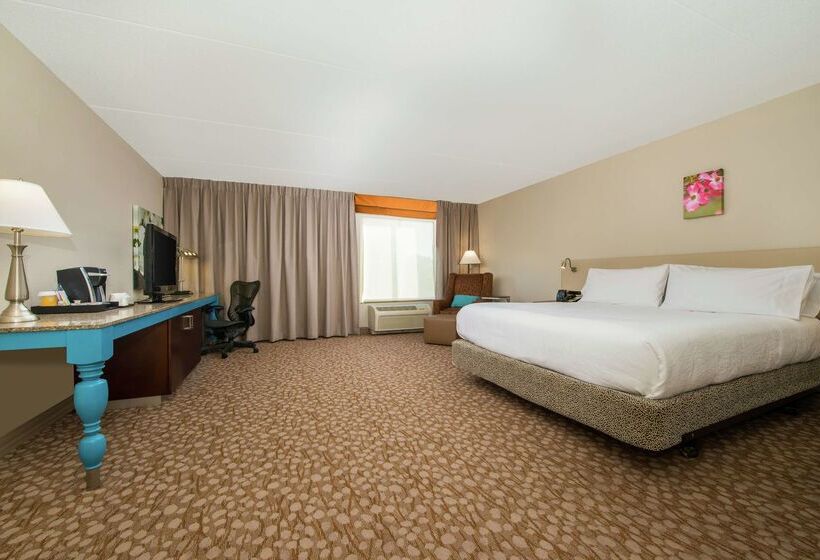 فندق Hilton Garden Inn Charlottesville