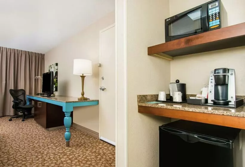 בית מלון כפרי Hilton Garden Inn Charlottesville