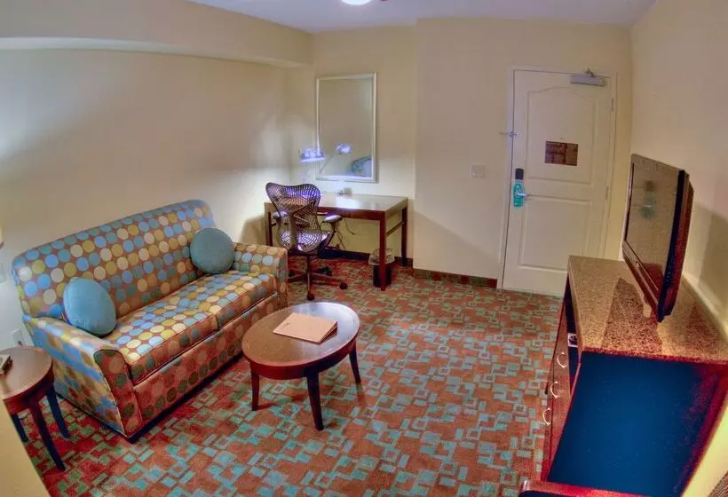 فندق Hilton Garden Inn Clarksville