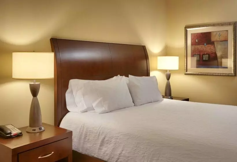 فندق Hilton Garden Inn Clarksville