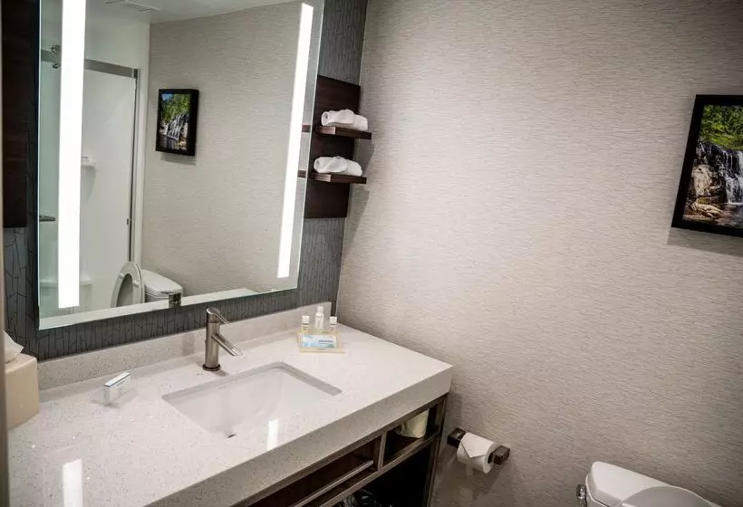 هتل Hilton Garden Inn Fayetteville Fort Liberty