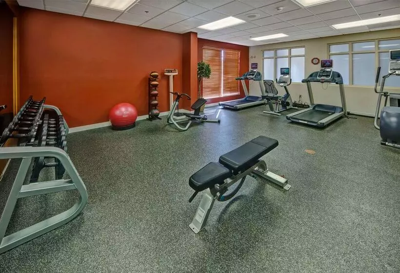 בית מלון כפרי Hilton Garden Inn Indianapolis Northeast/fishers