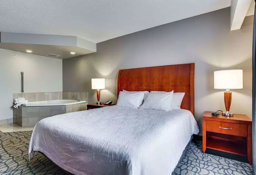 ホテル Hilton Garden Inn Louisville/northeast