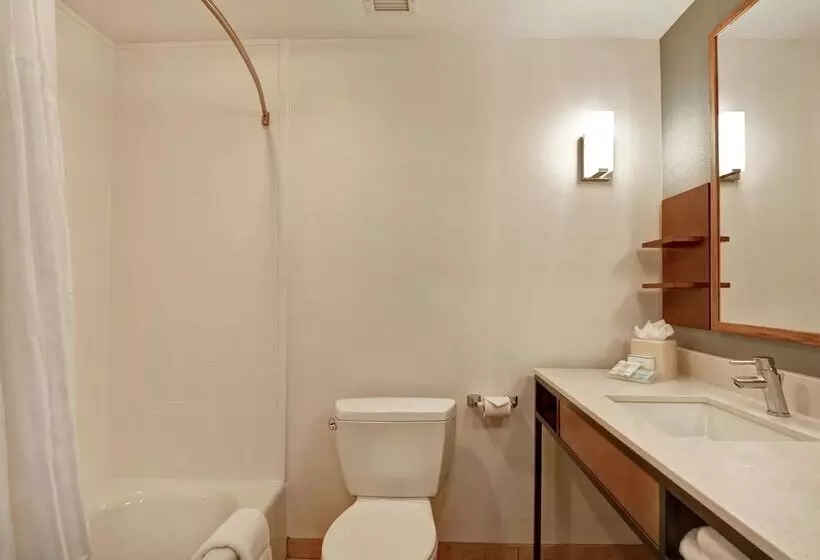 בית מלון כפרי Hilton Garden Inn Mobile East Bay / Daphne