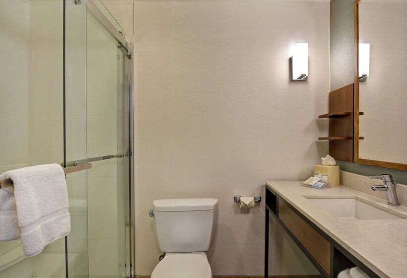 Отель Hilton Garden Inn Mobile East Bay / Daphne