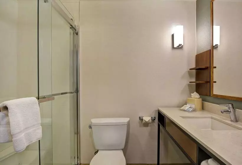 בית מלון כפרי Hilton Garden Inn Mobile East Bay / Daphne