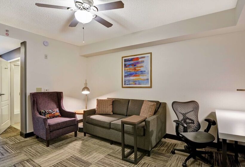 Отель Hilton Garden Inn Mobile East Bay / Daphne