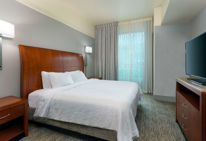 Отель Hilton Garden Inn Tampa Airport Westshore