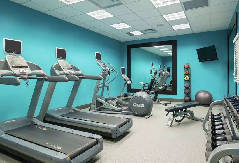 هتل Hilton Garden Inn Tampa Airport Westshore