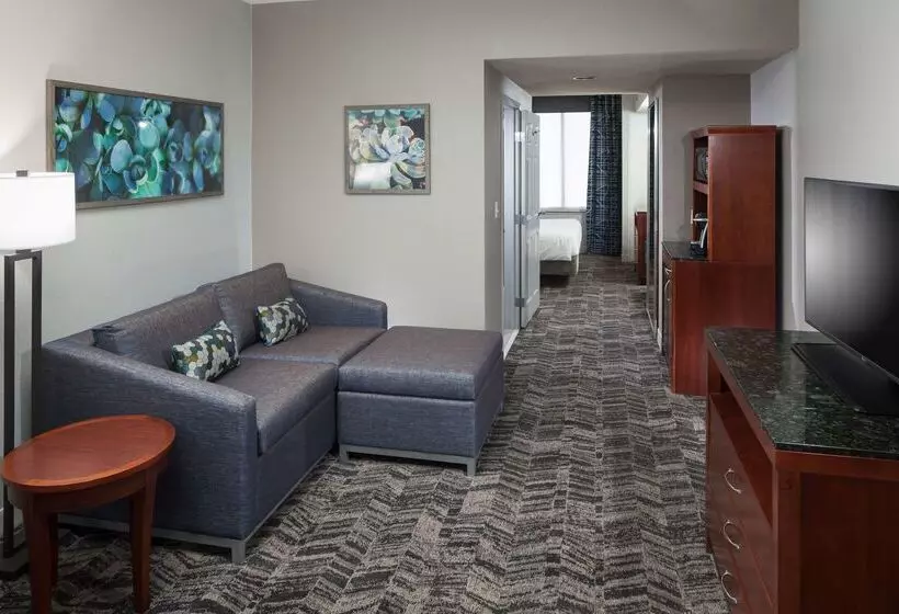 هتل Hilton Garden Inn Tucson Airport