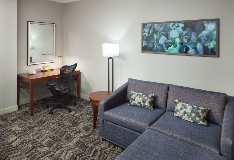 ホテル Hilton Garden Inn Tucson Airport