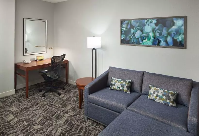 هتل Hilton Garden Inn Tucson Airport