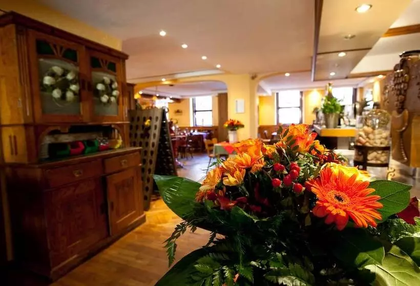 Weinhotel Des Riesling Zum Grünen Kranz