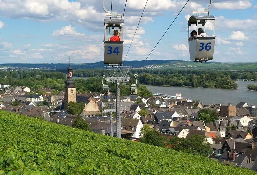 Weinhotel Des Riesling Zum Grünen Kranz